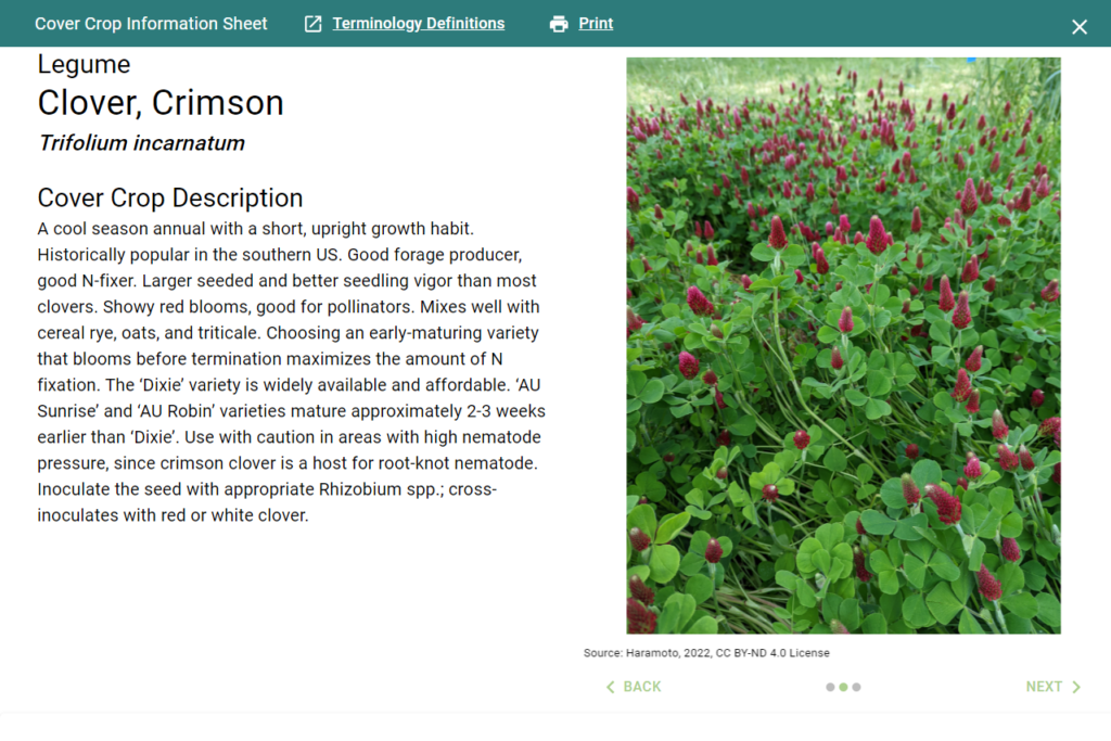 Crimson Clover Cover Crop Description