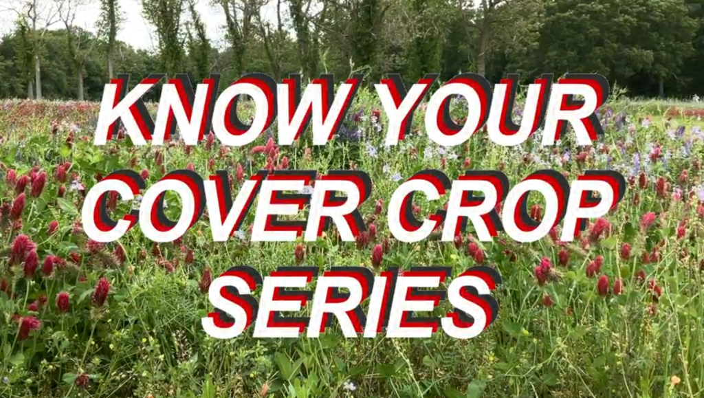 Know Your Cover Crop Series Screenshot