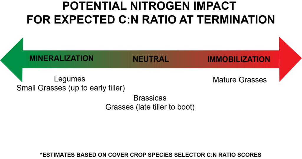 Immobilization and mineralization potential of cover crop types